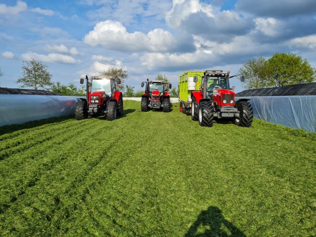 Silowanden bij Mts Boesenkool Hol in Rouveen